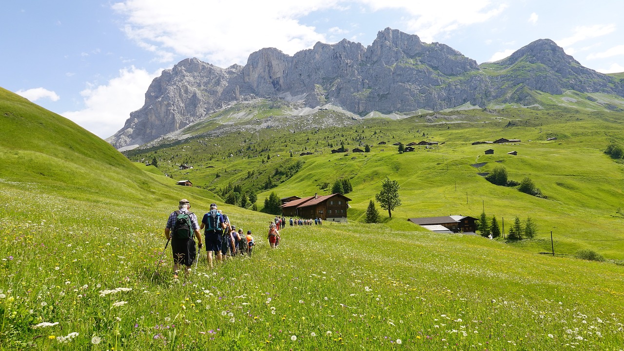 The Best Pet-Friendly Hiking Trails